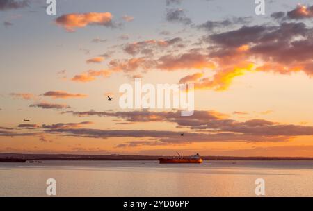 Navi da carico a Botany Bay al tramonto Foto Stock