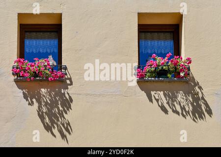 Primo piano di una coppia di finestre con gerani rosa in vaso, sulla facciata di una vecchia casa, Aosta, Valle d'Aosta, Italia Foto Stock