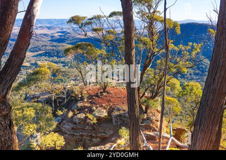 Giovane su un dito in cima a una scogliera che si estende dalla scarpata principale da una sezione stretta con vista sulla valle a circa 400 metri sotto. Rossastro Foto Stock