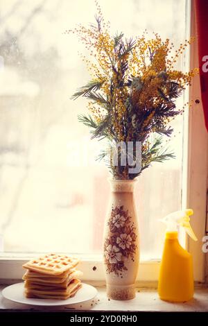 Un ramo di mimosa. Fiori di Primavera . Il dono per la ragazza non è un przdnik internazionale. Fiore giallo Foto Stock