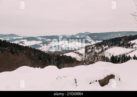 Un tranquillo paesaggio invernale mette in mostra montagne ricoperte di neve e colline ondulate, circondate da fitti alberi sempreverdi, che creano un'atmosfera serena Foto Stock