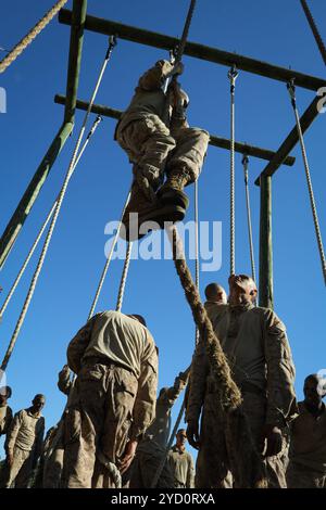 Recruits with Hotel Company, 2nd Recruit Training Battalion, conduce il Crocible sul Marine Corps Recruit Depot Parris Island, 18 ottobre 2024. Il crogiolo è un'operazione di 54 ore che mette alla prova la resistenza, la forza, l'agilità e la conoscenza di una recluta attraverso una serie di obiettivi. (Foto del corpo dei Marines degli Stati Uniti di Lance Cpl. Katrina Wallace) Foto Stock