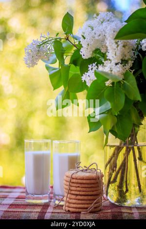 Latte in bicchieri e rami di lilla in vaso. Latte in un bicchiere, rami di un cespuglio lilla in un vaso, biscotti. Colazione in natu Foto Stock