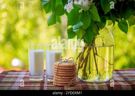 Latte in bicchieri e rami di lilla in vaso. Latte in un bicchiere, rami di un cespuglio lilla in un vaso, biscotti. Colazione in natu Foto Stock