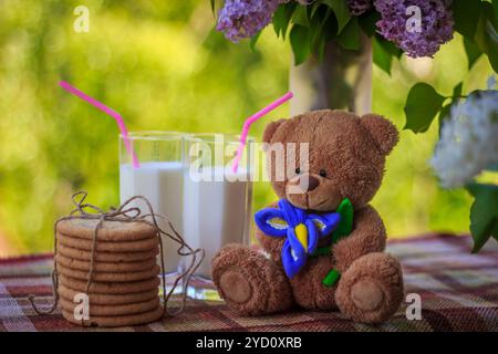 Latte in bicchieri e rami di lilla in vaso. Latte in un bicchiere, rami di un cespuglio lilla in un vaso, biscotti. Colazione in natu Foto Stock