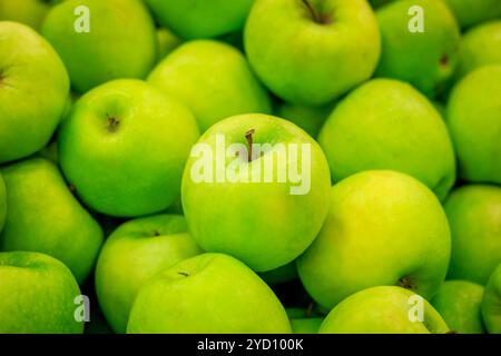 Mele Verdi sul supermercato vetrina. La frutta in negozio Foto Stock