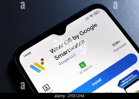 24 ottobre 2024, Portogallo. In questa immagine, il logo dell'app Wear OS by Google viene visualizzato sullo schermo di uno smartphone Foto Stock