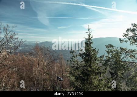 La vista mostra un tranquillo paesaggio invernale nella Sassonia svizzera, caratterizzato da un mix di alberi sempreverdi e montagne lontane. Un cielo limpido migliora il nat Foto Stock