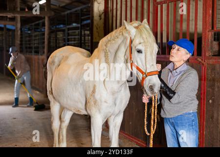 Donna anziana rancher carezzare cavallo bianco dopo l'equitazione Foto Stock