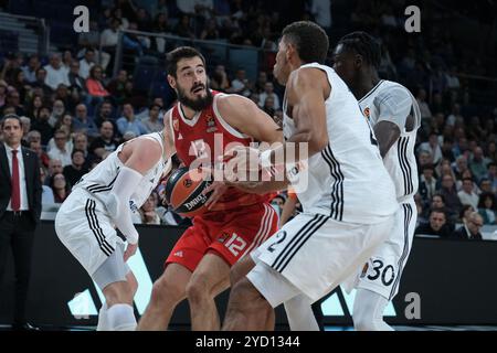 Madrid, Spagna. 24 ottobre 2024. Nikola Kalinic del Real Madrid durante la partita di EuroLeague turca tra Real Madrid e Crvena Zvezda Belgrado al WiZink Center il 24 ottobre 2024 a Madrid Spagna Credit: SIPA USA/Alamy Live News Foto Stock