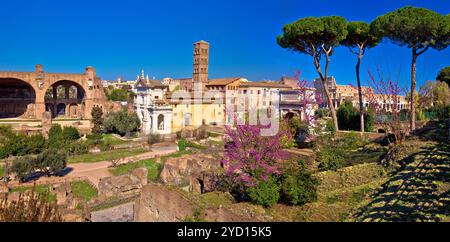Vista panoramica in primavera sulle rovine del foro Romano di Roma Foto Stock