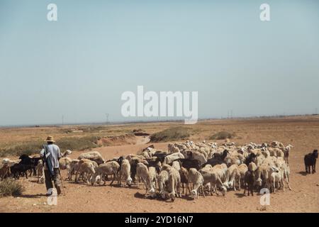 Countryside, Marocco, 23 luglio 2019: Goatherd si occupa di una mandria variegata di pecore e capre nell'arido paesaggio del Marocco Foto Stock