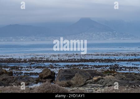 Vista di città del Capo e Table Bay da Robben Island Foto Stock
