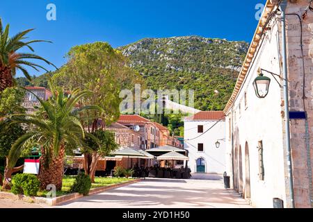 Vista sulla vecchia strada in pietra di Ston e sulle mura storiche Foto Stock