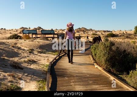 Turisti che visitano il deserto e il Parco Nazionale di Mungo Foto Stock