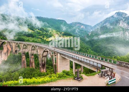 Montenegro. Dzhurdzhevich ponte sopra il fiume Tara Foto Stock