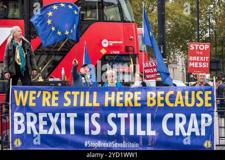 Londra, Regno Unito. 23 ottobre 2024. Gli attivisti tengono cartelli e bandiere d'onda all'angolo della piazza del Parlamento durante la manifestazione. L'attivista britannico contro la Brexit, Steve Bray e i suoi amici hanno fatto riunire il mercoledì alla manifestazione dell'UE all'angolo della piazza del Parlamento a Londra, Regno Unito. Credito: SOPA Images Limited/Alamy Live News Foto Stock