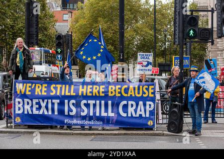 Londra, Regno Unito. 23 ottobre 2024. Gli attivisti tengono cartelli e bandiere d'onda all'angolo della piazza del Parlamento durante la manifestazione. L'attivista britannico contro la Brexit, Steve Bray e i suoi amici hanno fatto riunire il mercoledì alla manifestazione dell'UE all'angolo della piazza del Parlamento a Londra, Regno Unito. (Foto di Krisztian Elek/SOPA Images/Sipa USA) credito: SIPA USA/Alamy Live News Foto Stock