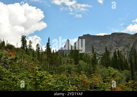 Ammira attraverso i tronchi e le cime dei giovani cedri un'alta catena montuosa con picchi appuntiti in un giorno d'estate nuvoloso. Foto Stock