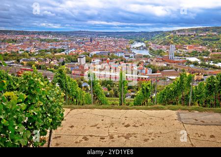 Città vecchia di Wurzburg vista dalla collina vigna Foto Stock