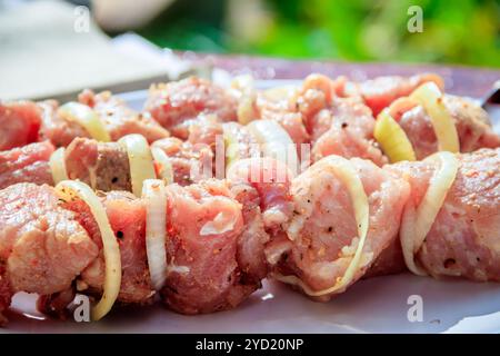 Spiedini di carne con cipolle su spiedini. Carne di carbone. Foto Stock