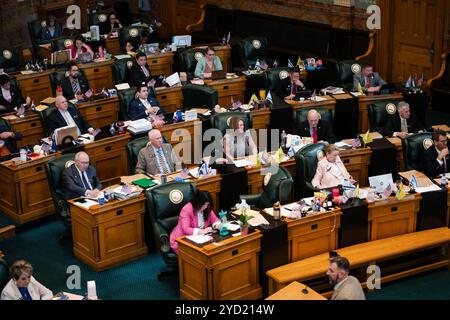 Denver, Colorado, Stati Uniti. 24 ottobre 2024. Rappresentante nella Colorado House nel 2024 presso il Campidoglio dello Stato del Colorado a Denver. (Immagine di credito: © Olivia Sun/Colorado Sun tramite ZUMA Press Wire) SOLO PER USO EDITORIALE! Non per USO commerciale! Foto Stock