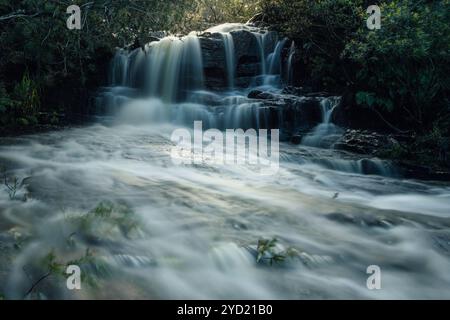 Le acque infuocate di Kellys Creek scorrono sopra la cima di Kellys Falls e scorrono velocemente lungo le rocce fino a una seconda goccia a picco di 35 m nella valle Foto Stock