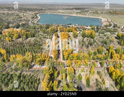 Wuzhong, Cina. 23 ottobre 2024. La foto aerea scattata il 23 ottobre 2024 mostra lo scenario autunnale dell'area ecoturistica del lago Haba nella contea di Yanchi, nella città di Wuzhong, nella regione autonoma Ningxia Hui della Cina nord-occidentale. È il miglior periodo di osservazione dell'anno per la foresta locale di pioppi (populus euphratica) del deserto. Credito: Yu Jing/China News Service/Alamy Live News Foto Stock