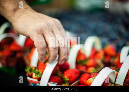 La mano di prelevare un cesto di fragole al mercato agricolo Foto Stock