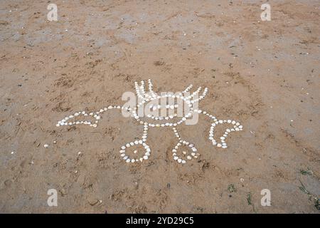 Un granchio, disegnato con conchiglie sulla sabbia di una spiaggia di mare Foto Stock