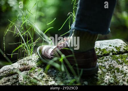 Piede maschile di indossare scarpe di cuoio e calza verde, in piedi su una roccia con una natura sfondo sfocato Foto Stock