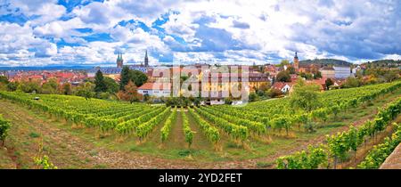 Bamberga. Vista panoramica della città di Bamberg dai vigneti di Michaelsberg Foto Stock