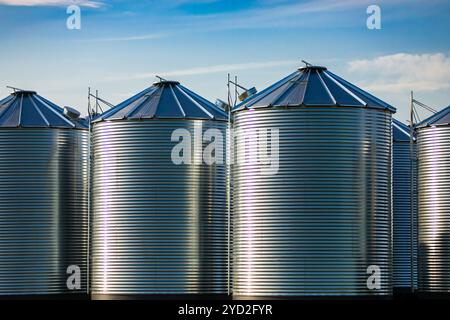 Cilindro in acciaio silos di stoccaggio vengono visti da una fattoria di grano al di sotto di un luminoso cielo blu, grande industria agricoltura in Saskatchewan, Canada Foto Stock