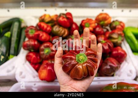 Chiudete una mano tenendo un peperone fresco e brillante. Altri peperoni e verdure sullo sfondo sfocato. Mercato alimentare locale ambiente. Foto Stock