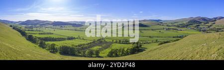 Un panorama delle colline ondulate ai confini scozzesi in UNA splendida giornata estiva Foto Stock