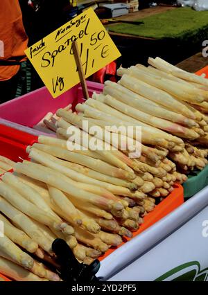 Asparagi freschi in un mercato di Hameln, bassa Sassonia, Germania, Europa Foto Stock