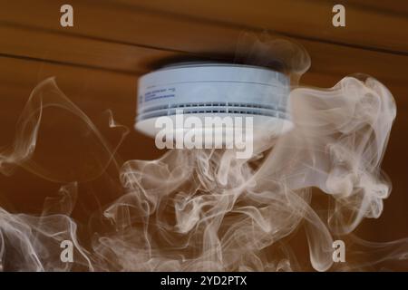 Rilevatore di fumo domestico, rilevatore di fumo a batteria, fumo, soffitto in legno, servizi edili, Stoccarda, Baden-Wuerttemberg, Germania, Europa Foto Stock