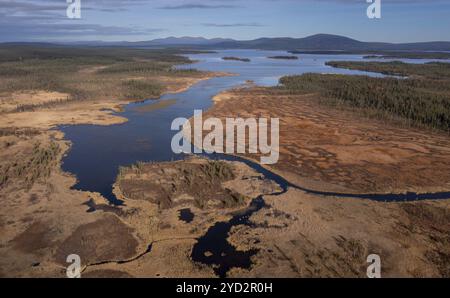 Immagine del drone, vista aerea, palude, palude in autunno, Lapponia, Finlandia, Europa Foto Stock