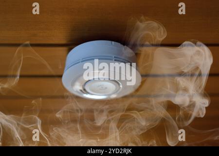 Rilevatore di fumo domestico, rilevatore di fumo a batteria, fumo, soffitto in legno, servizi edili, Stoccarda, Baden-Wuerttemberg, Germania, Europa Foto Stock