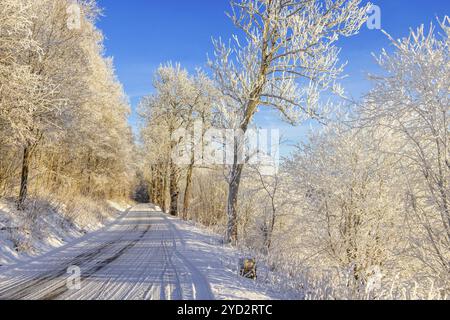 Strada forestale innevata e ghiacciata con alberi ghiacciati in inverno, Svezia, Europa Foto Stock