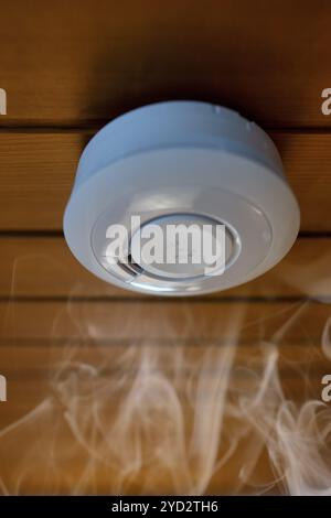 Rilevatore di fumo domestico, rilevatore di fumo a batteria, fumo, soffitto in legno, servizi edili, Stoccarda, Baden-Wuerttemberg, Germania, Europa Foto Stock