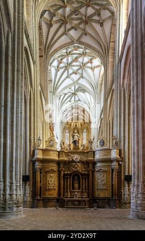 Astorga, Spagna, 12 aprile 2024: Vista panoramica verticale della navata laterale e della cappella nella cattedrale di Santa Maria ad Astorga, Europa Foto Stock