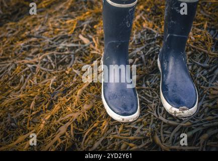 In stile retrò Foto di Wet stivali di gomma Walking su alga su una spiaggia con spazio di copia Foto Stock