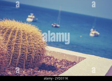 In stile retrò yacht di lusso in un marina tropicale con un cactus in primo piano Foto Stock