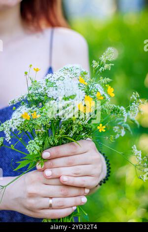 Un bouquet di fiori selvatici nelle mani delle donne. Bouquet di fiori selvatici. Mani femminili morbide. Articolo sulla raccolta di fiori. Fiori vivi gialli e bianchi Foto Stock