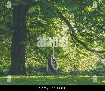 Infanzia Nostalgia Immagine di un pneumatico Swing appeso a un albero in un pomeriggio d'estate Foto Stock