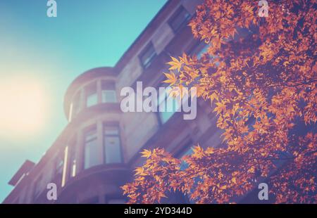 In stile retrò Immagine di pietra arenaria rossa Tenement Appartamenti a Glasgow, in zona West End con belle foglie di primavera in primo piano Foto Stock