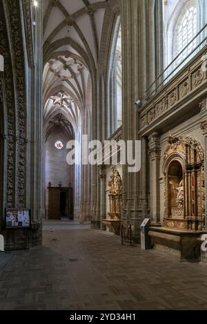 Astorga, Spagna, 12 aprile 2024: Veduta della navata laterale della Cattedrale di Santa Maria ad Astorga, Europa Foto Stock