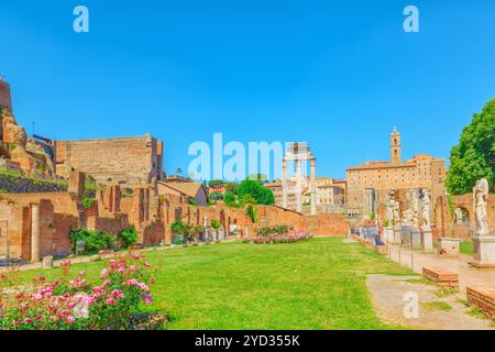 Reperti archeologici e oggetti storici di Roma, uniti dal nome - Foro Romano e Palatino. Tempio di Vesta. (Tempio di Vesta). Foto Stock