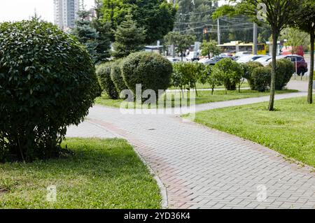 Sentiero circondato da alberi e arbusti ornamentali a Kiev, Europa. Luogo ricreativo nel parco cittadino Foto Stock